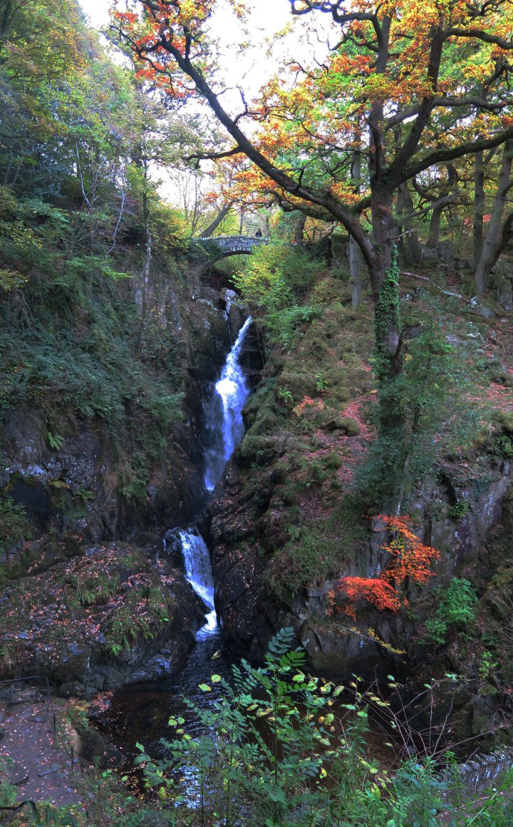 aira-force