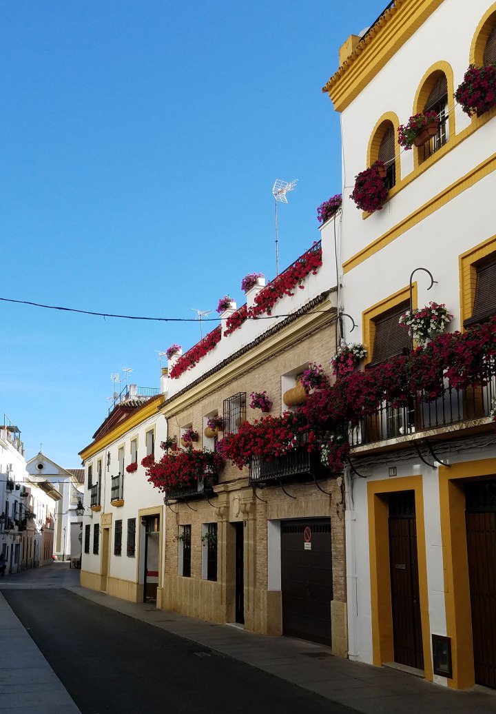 streets-of-cordoba
