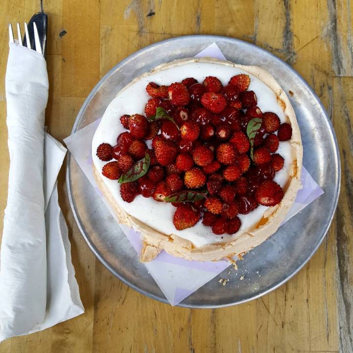 13041179_10206471430197867_7033524604260391433_o (1)