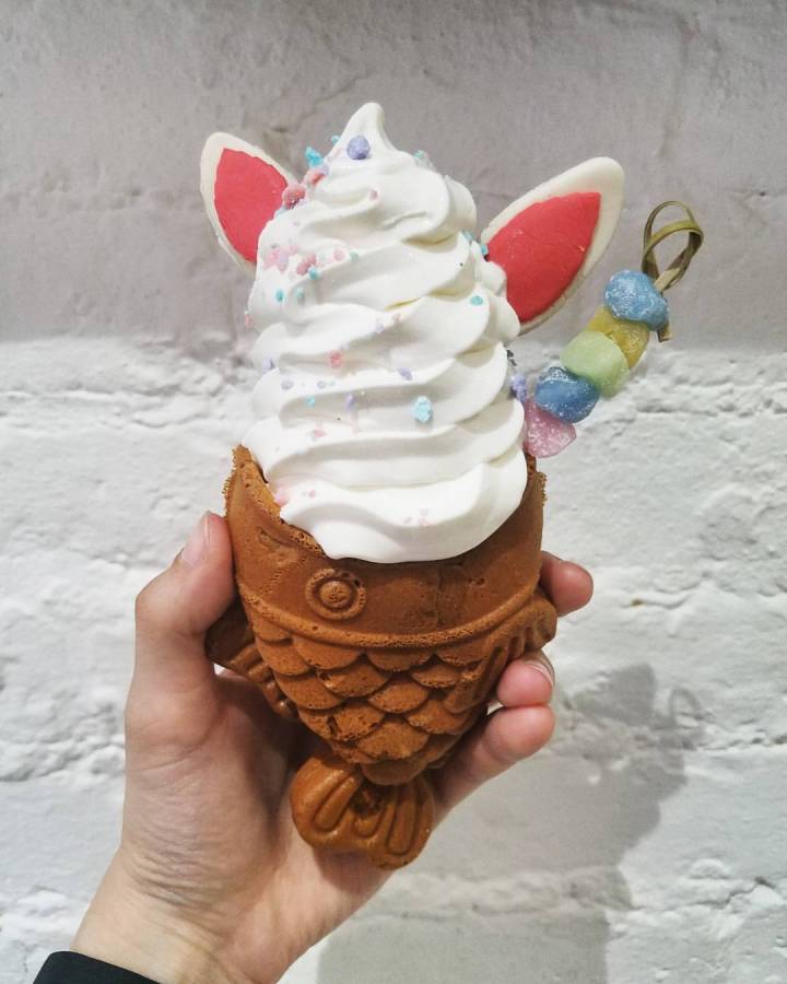 17972110_10209004333798874_725939838346172090_o